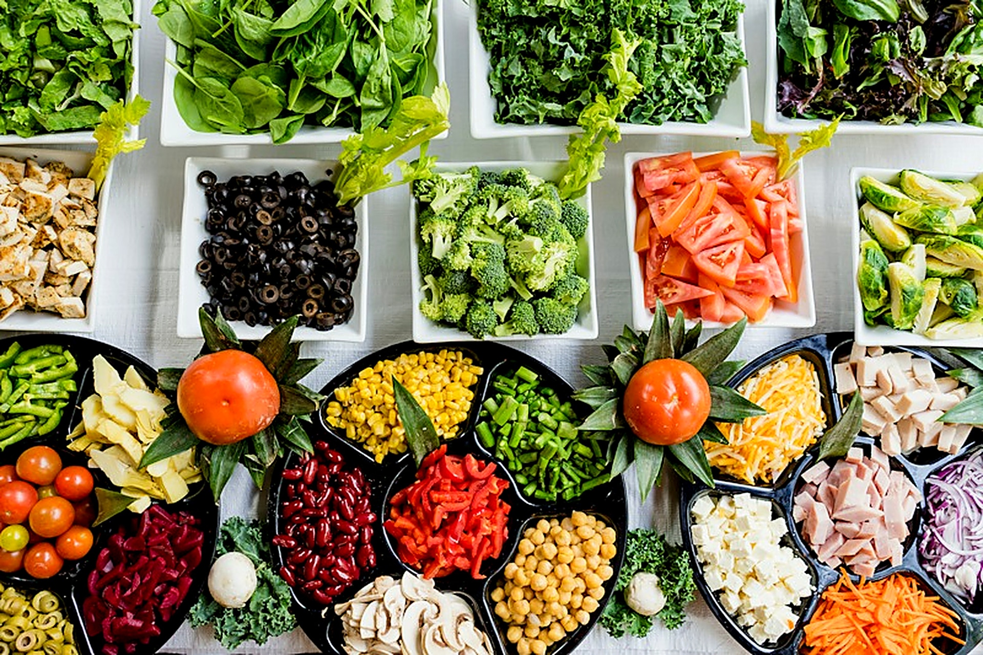 Clinical Nutrition